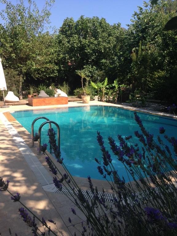 Fig Garden Cottages Kayaköy Dış mekan fotoğraf