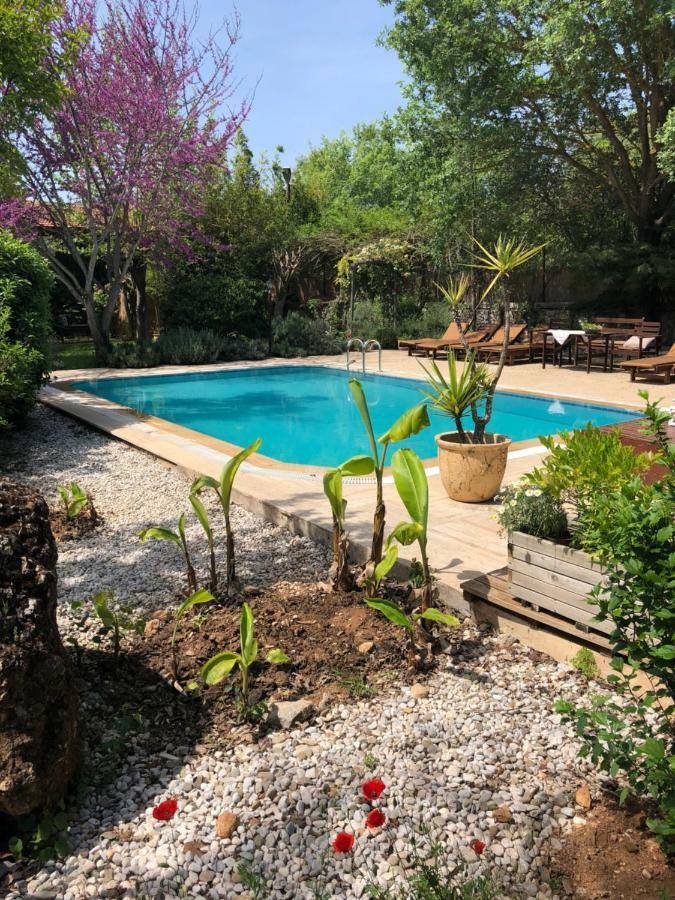 Fig Garden Cottages Kayaköy Dış mekan fotoğraf